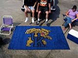 Kentucky Wildcats UK Tailgate Area Rug 5' x 8'
