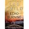 The best of Lee Child and some of his rivals