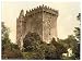 Blarney Castle. Co. Cork, Ireland wall sized print (photochrom) photochrome measured in inches 8x10