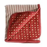 Anna Claire Beautiful Designed Baby Receiving Blanket, Double Sided Designs, Swaddle Blankets (Pony Boy) ~ ZZ Home