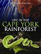 Life in the Cape York Rainforest