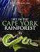 Life in the Cape York Rainforest