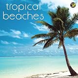 Tropical Beaches 2011 Wall Calendar