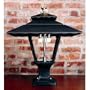 Gaslite America Gl1800 Cast Aluminum Manual Ignition Natural Gas Light With Dual Mantle Burner And Pedestal Mount
