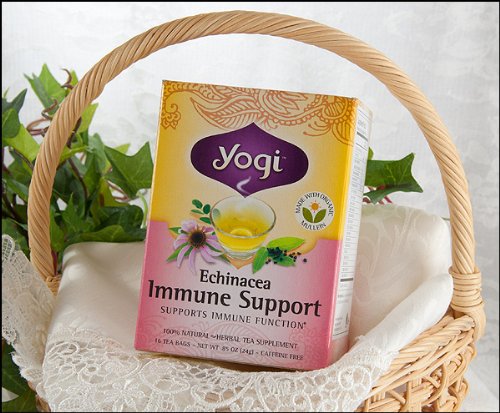 YOGI TEA ヨギティー エキナセア 有機ハーブティー