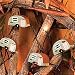 Camper Party Lights Set from Jeff Foxworthy