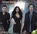 2011 Vampire Diaries Wall Calendar