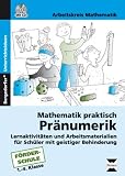 Mathematik praktisch: Pr&auml;numerik, m. CD-ROM - Claudia Omonsky