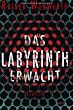 Das Labyrinth erwacht