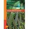 Weidenflechtwerke: Lebendige Strukturen im Garten