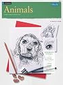 Drawing: Animals (HT12)