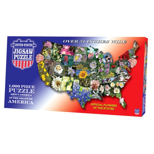 TDC games USA Shaped State - Flowers Puzzle