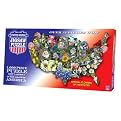 TDC games USA Shaped State - Flowers Puzzle
