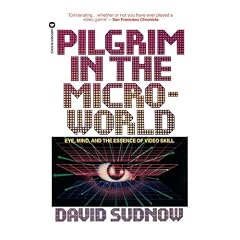 Pilgrim in the Microworld