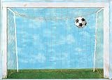 Soccer Net BH1878M Wall Mural