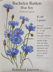 Blue Boy Bachelor Button Heirloom Seeds