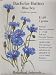 Blue Boy Bachelor Button Heirloom Seeds