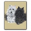A Study in Contrast - Gift Enclosure Cards (set of 12)