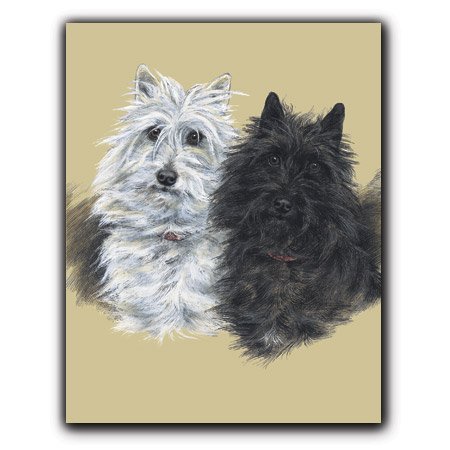 A Study in Contrast - Box Set of 12 Greeting Cards and Patterned Envelopes On Sale