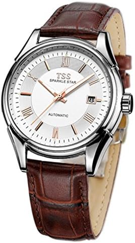 Mens automatic mechanical watches/Fashion retro waterproof luminous watch-R