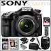 Sony DSLR SLTA77VQ 24.3MP Digital SLR Camera & 16-50MM Lens + 18-250MM Zoom Lens + Sony 16 GB Memory Card + Sony Camera Bag + Accessory Kit