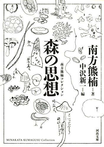 森の思想 (河出文庫)