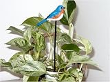 Fisher Wildlife Bluebird Garden Bird Stick
