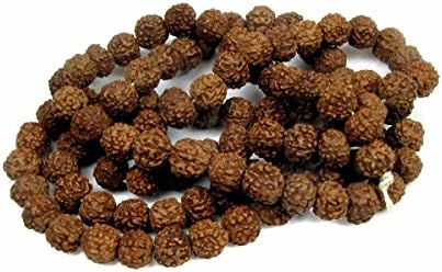 Rudraksha Seeds / Shiva Tears Necklace 15", 108 Beads at 7mm