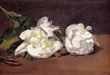 Completely Handpainted HQ Reproduction Painting, Original by MANET, Old Master's Art, Repro-R8P522 Custom Order, Oil on Canvas, No Print, No Poster, No Giclee, with Option to Paint from Any Other Favorite Photograph or Picture, Unframed, Size 33 x 48 inches