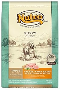 NUTRO Puppy Chicken, Whole Brown Rice and Oatmeal Dog Food, 30 lbs. NUTRO Puppy Chicken, Whole Brown Rice and Oatmeal Dog Food, 30 lbs.