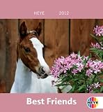 Produkt-Bild: Pferde Mini Best Friends 2012