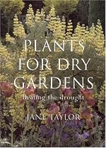 Plants for Dry Gardens: Beating the Drought