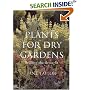 Plants for Dry Gardens: Beating the Drought