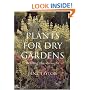 Plants for Dry Gardens: Beating the Drought
