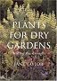 Plants for Dry Gardens: Beating the Drought