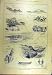 1887 Rod Gun Faroe Fishing Shooting Sport Print