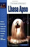 The Guide to Owning a Lhasa Apso (Re Dog)