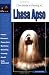 The Guide to Owning a Lhasa Apso (Re Dog)
