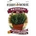 Ferry-Morse 1361 Rosemary Herb Seeds (100 Milligram Packet)