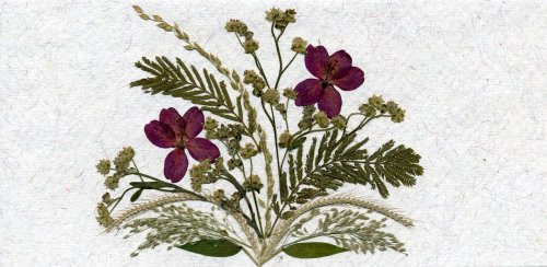 handmade birthday cards for women. Handcrafted greeting card or