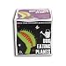 Sow And Grow Bug Eating Plants