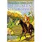 Nostalgic Nancy Drew in Series Order