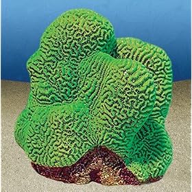 Nature's Image Artificial Corals: Brain, Green by