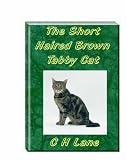 The Short Haired Brown Tabby Cat
