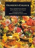 Glorious colour : sources of inspiration for knitting and needlepoint, with 17 projects