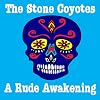 A Rude Awakening