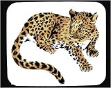 Mouse Pad with jaguar, cat, baby, cub, leopard