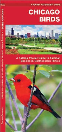 Chicago Birds: A Folding Pocket Guide to Familiar Species in Northeastern Illinois (Pocket Naturalist Guide Series)