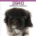 Pekingese 2010 Square Wall ARTLIST