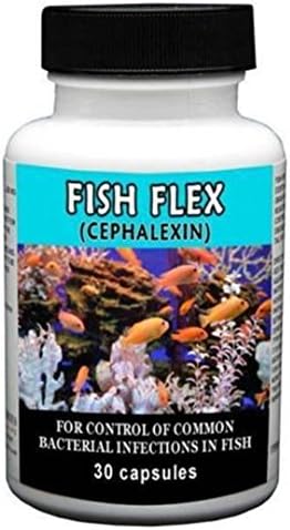 Soluble capsule to preserve all fish type (30caps)